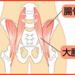 腸腰筋